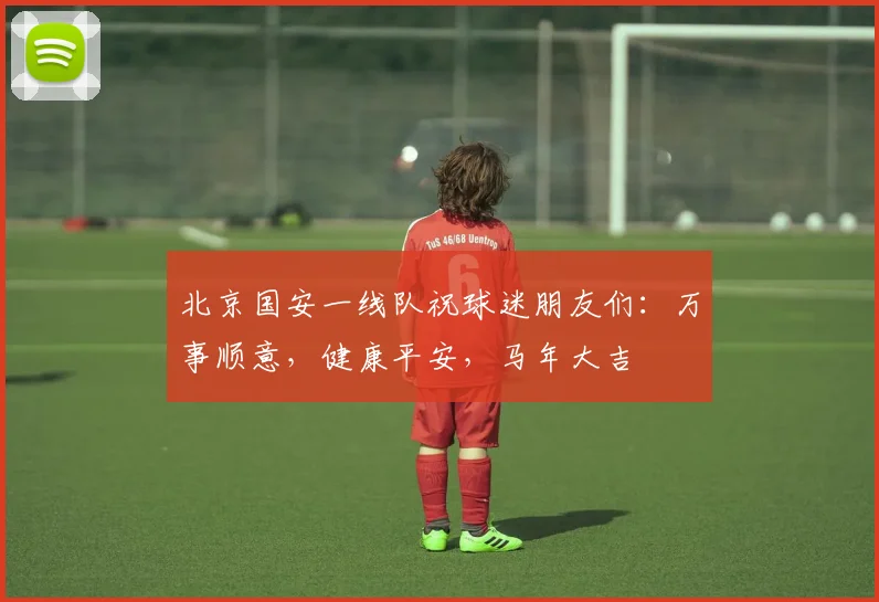 北京国安一线队祝球迷朋友们：万事顺意，健康平安，马年大吉